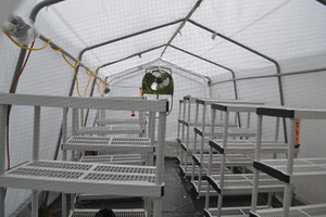 Good Sense Farm & Apiary