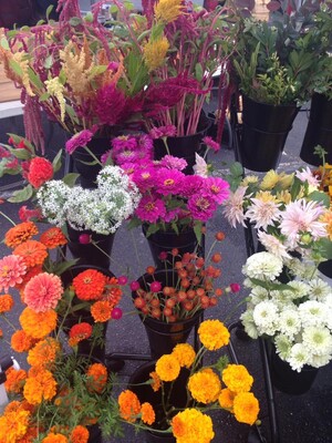 Isle of Wight & Smithfield Farmers' Markets