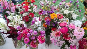 Ashtabula  Farmers' Market