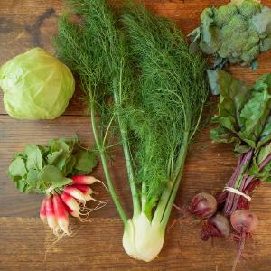 Elysian Fields Farm