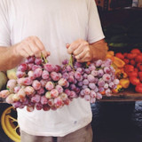 Farm Cart Organics