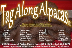 Tag Along Alpacas, LLC