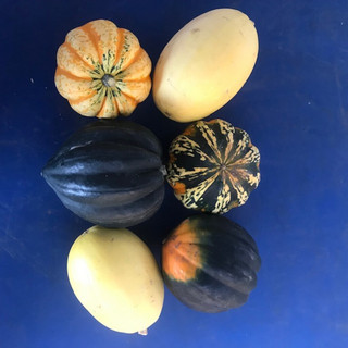 Harlequin Produce