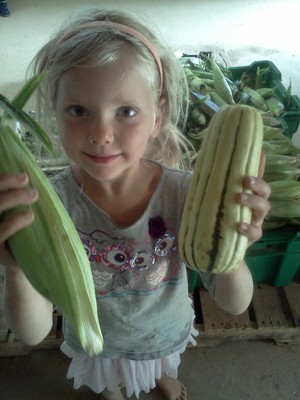 Asbury Village Farm