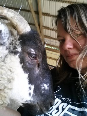 Gemini Valley Farm