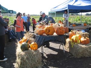 Farmer John's Pumpkin Farm
