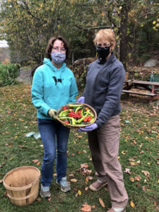 Down to Earth CSA