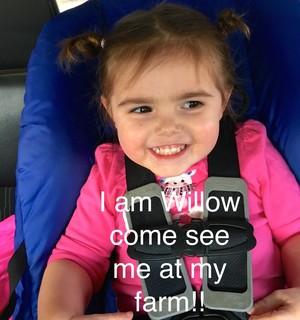 Willow Farms