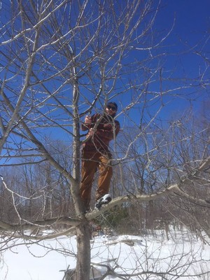 Prospect Rock Permaculture