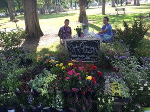 Colusa Certified Farmers' Market