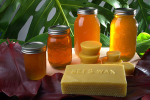 The Honey Bee Company LLC