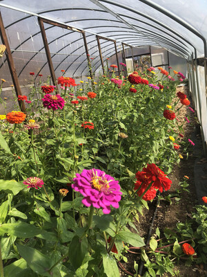 Sterling Organic Farm LLC