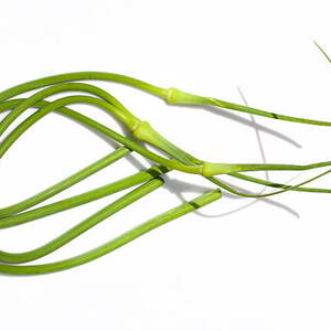 Pleasant Hill Produce