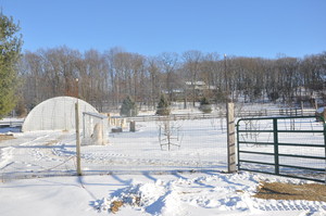 Seeds Of Peace Farm Newton NJ