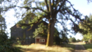 Muhly's Heritage Farms