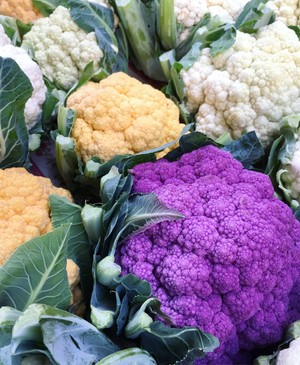 Kennett Square Farmers Market