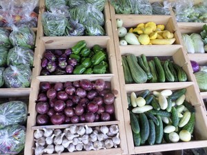 Heartbeat Community Farm