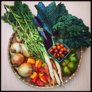 Earth Root Farm