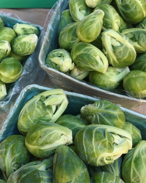 Kennett Square Farmers Market