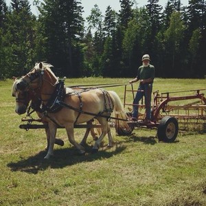 Darthia Farm