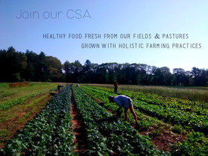 Freedom Food Farm