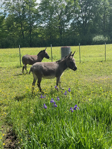 Sonoff Farms llc