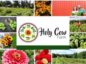 Holy cow farm