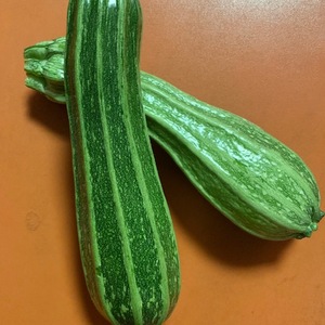 Farmers Fresh CSA