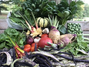 HartBeet Farm