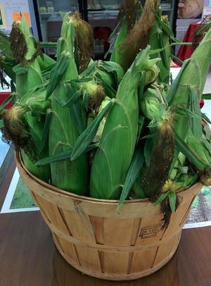 Delaware Bounty
