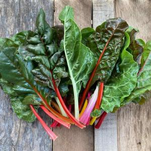 Bountiful Blessings Farm