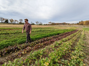 Middlebury Farms