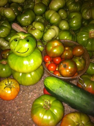 Laughing Frog Farm