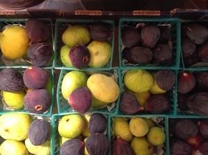 Kitchel Family Organics