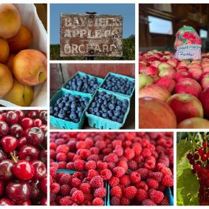 Bayfield Foods CSA
