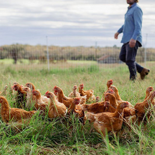 Central Texas Farmers Co-op
