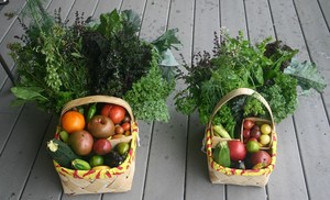 Abbott Farms