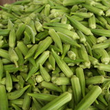 TG Farms