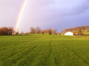 Maranatha Meadows