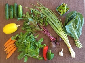 Bountiful Beloit