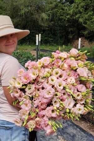 Prospect Hill Flower Farm