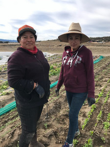 Sage Mountain Farm