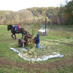Liz and Paul's Farm