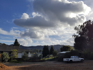 Cloverfield Organic Farm