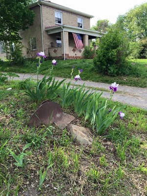 Conforti Family Farm