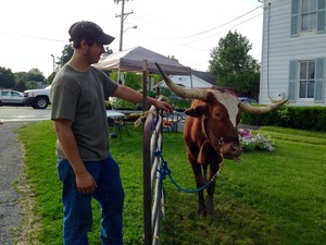 Dillsburg Farmers' Market