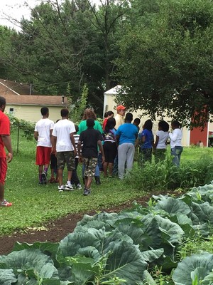 Double D Farms Organically Grown Produce and CSA