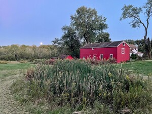 Cattail Hollow Farm