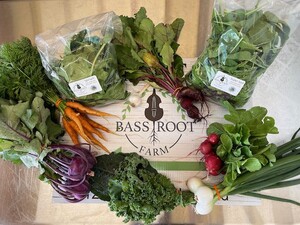 Bass Root Farm LLC