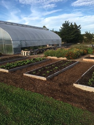 Herricks Herbs & Heirlooms